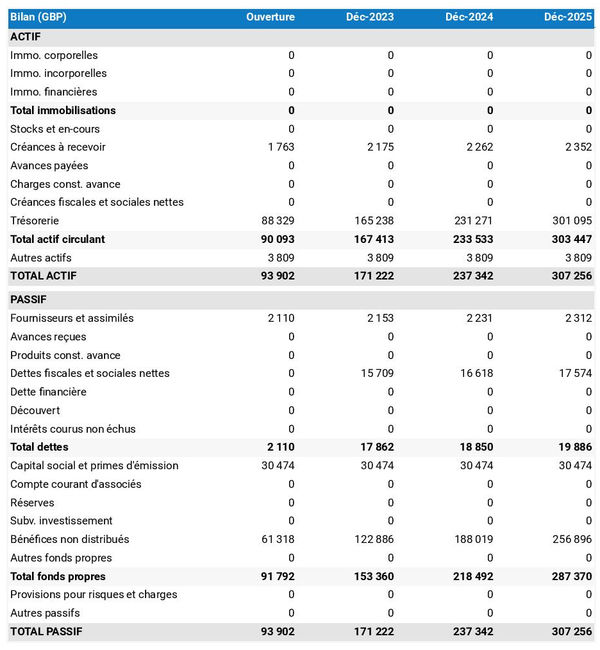 business plan d'entreprise d'investissement locatif avec exemple de bilan prévisionnel