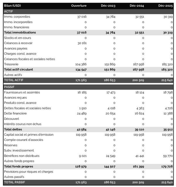exemple de bilan prévisionnel dans un business plan d'entreprise de location de camping cars