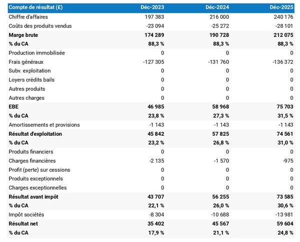 exemple de compte de résultat dans un business plan de salle d'escalade