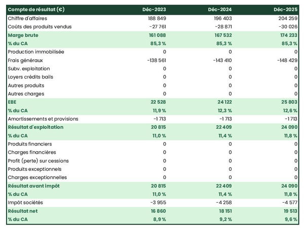 exemple de compte de résultat dans un business plan d'agence de traduction et d'interprétation