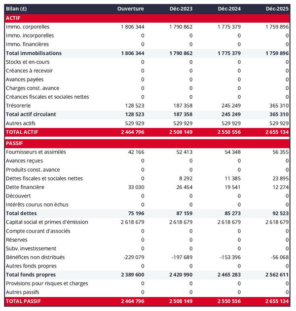 business plan d'entreprise de déménagement avec exemple de bilan prévisionnel