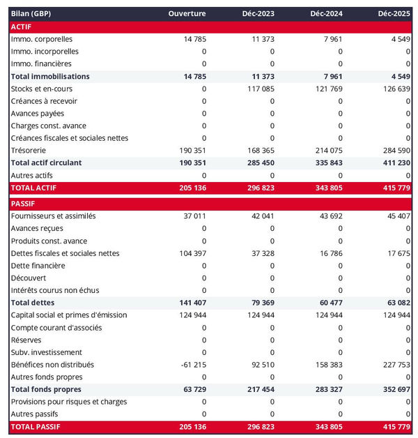 exemple de bilan prévisionnel dans un business plan de grand magasin