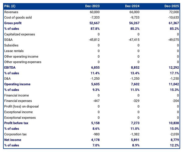 forecasted profit and loss statement in a stone cutting workshop business plan