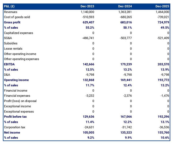 example of projected profit and loss statement in a biscuit manufacturer business plan