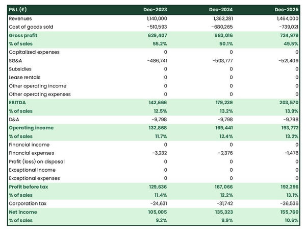 example of projected profit and loss statement in a chocolate factory business plan