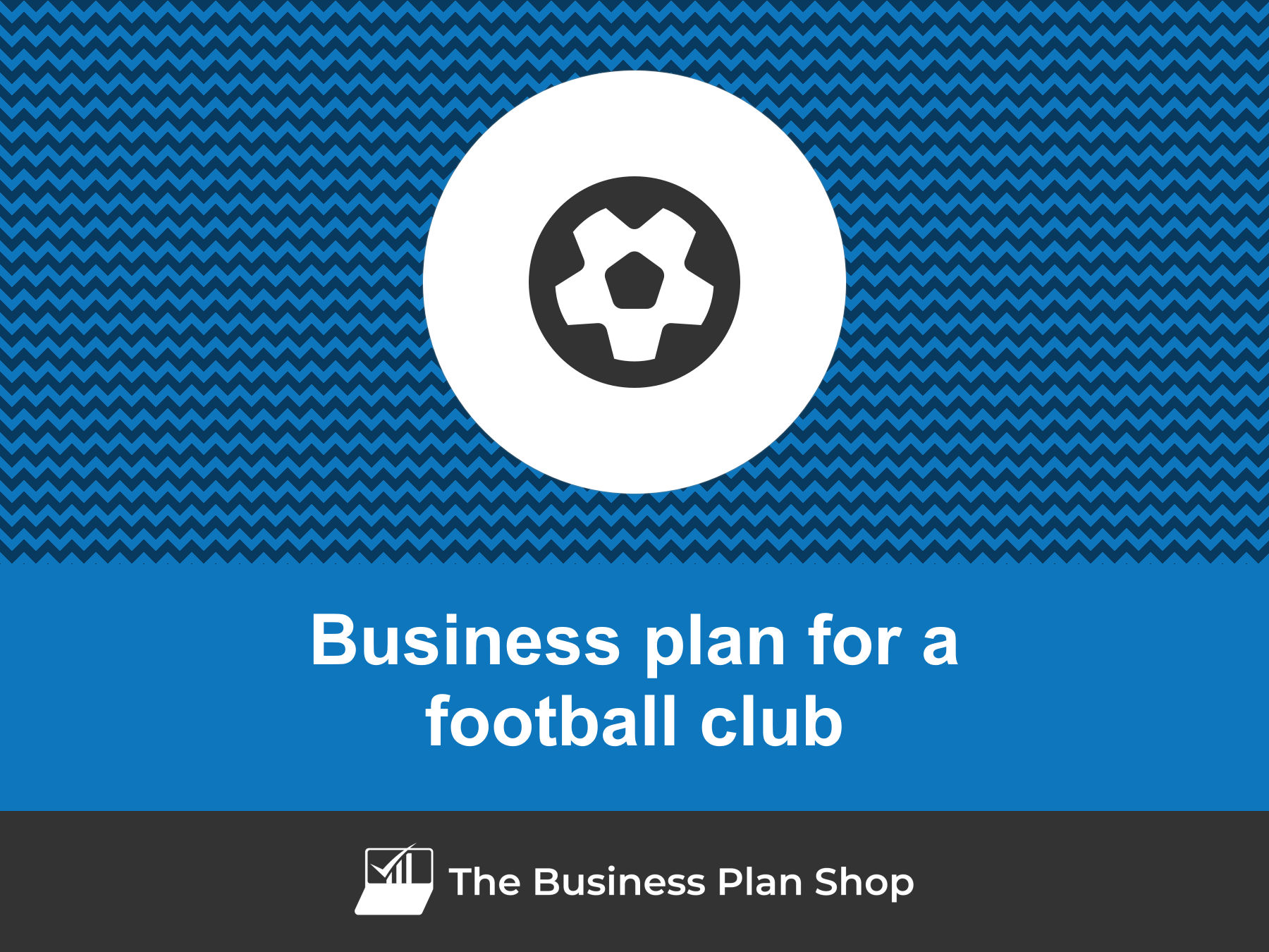 football turf business plan ppt