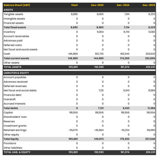 example of projected balance sheet in a food hygiene testing laboratory business plan