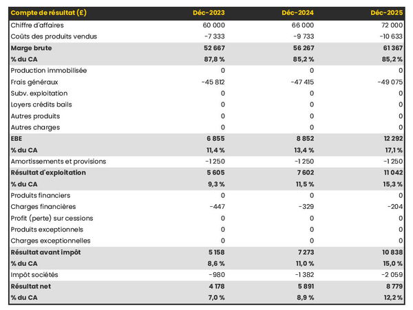 exemple de compte de résultat dans un business plan de fabricant de poupées