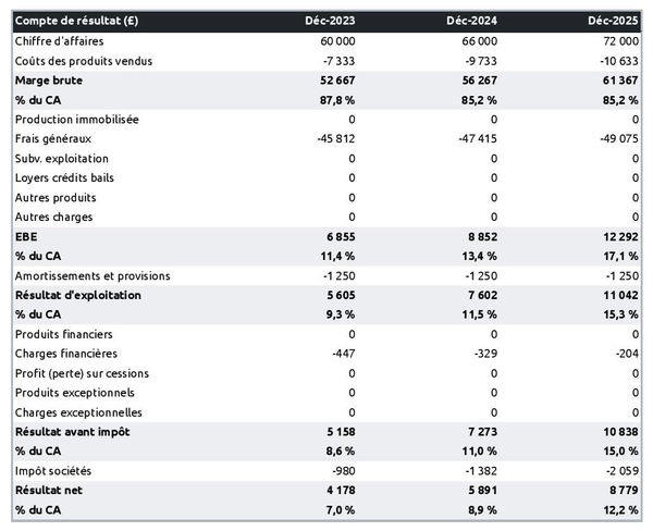 exemple de compte de résultat dans un business plan de fabricant de jouets à roulettes