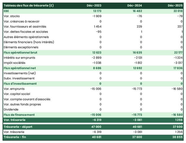 exemple de prévision de trésorerie dans un business plan de pizzeria
