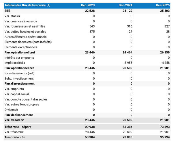 prévisionnel de trésorerie dans un business plan de entreprise de service à la personne