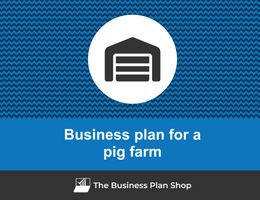 How to write a business plan for a pig farm?
