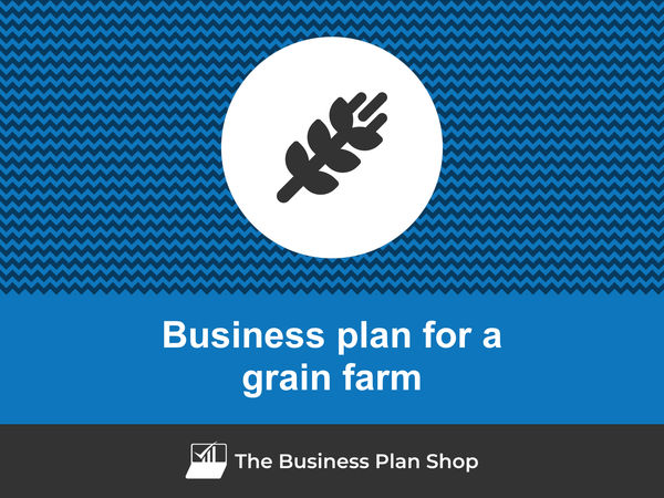 grain farm business plan