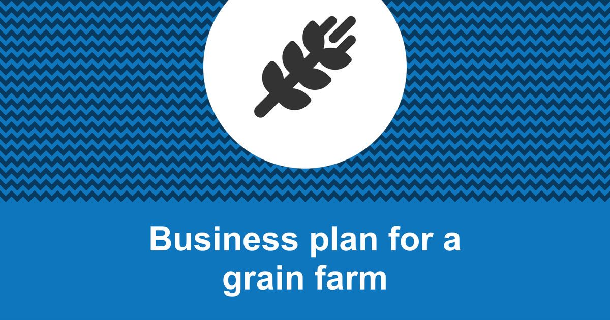 grain storage business plan pdf