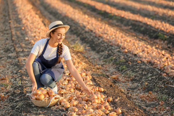 mixed farm business plan: products and services section