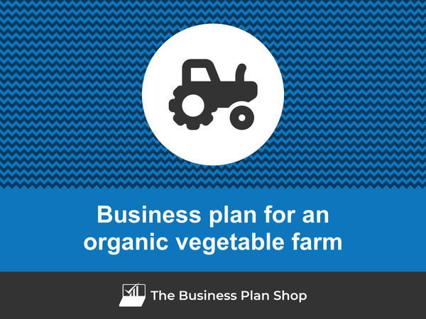 organic vegetable farm business plan