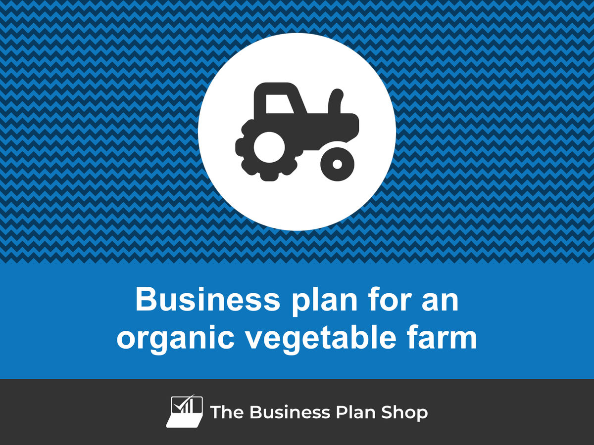 vegetable export business plan pdf