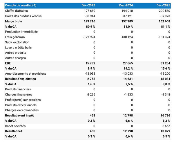 exemple de compte de résultat prévisionnel dans un business plan fabricant de vinyles
