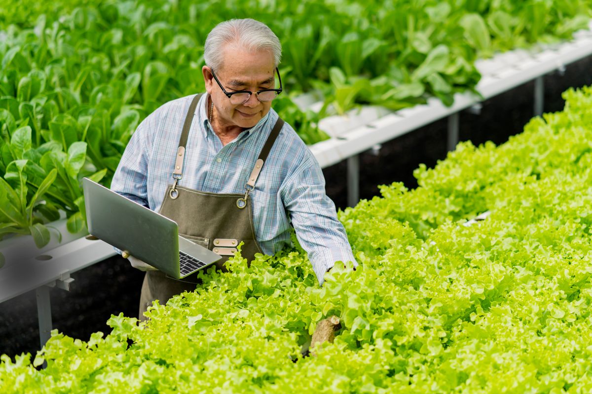 aquaponics farm business plan