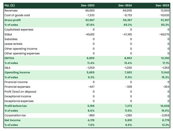 example of projected profit and loss statement in a ceramic household goods maker business plan