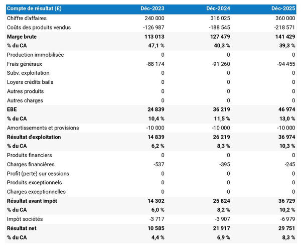 exemple de compte de résultat prévisionnel dans un business plan fabricant de landaus et de poussettes