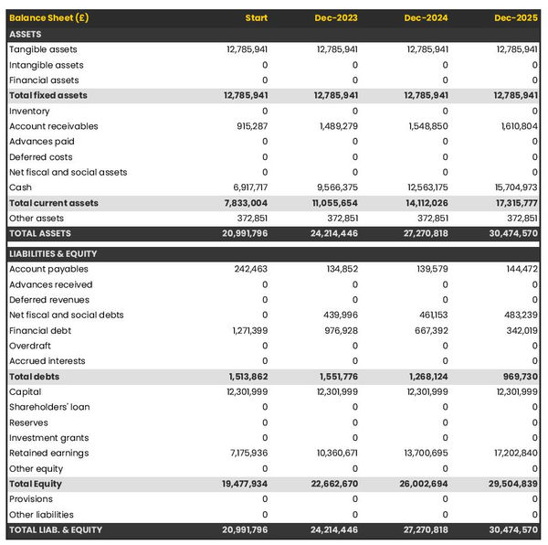 example of forecasted balance sheet in a septic tank pumping company business plan