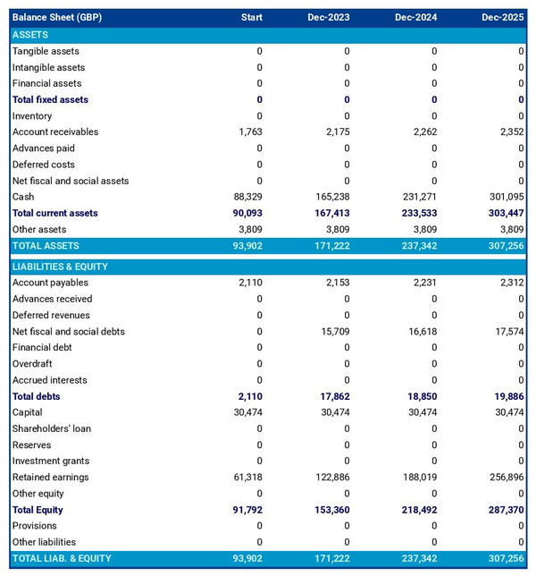 example of forecasted balance sheet in a site and ground investigation firm business plan