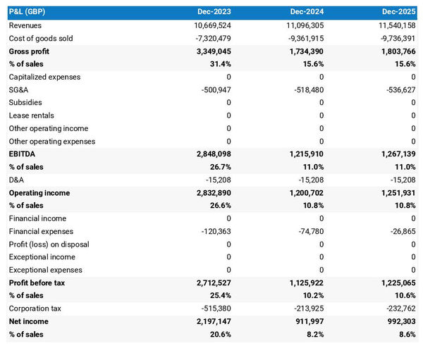 example of projected profit and loss statement in a tire shop business plan