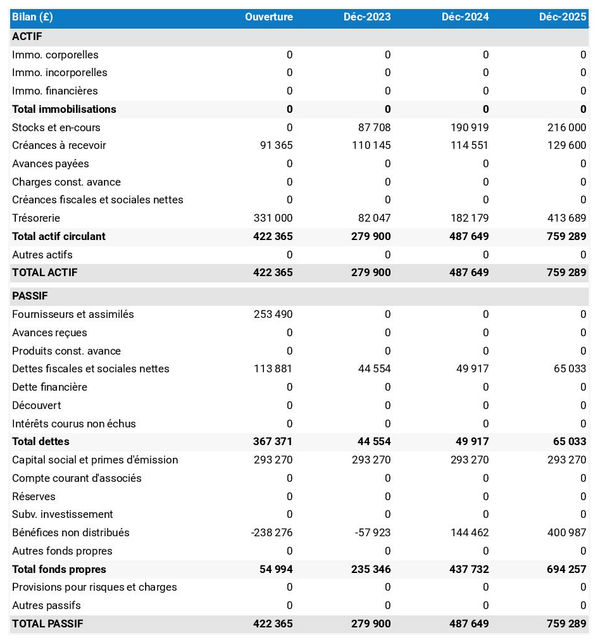 exemple de bilan prévisionnel dans un business plan de site e-commerce 