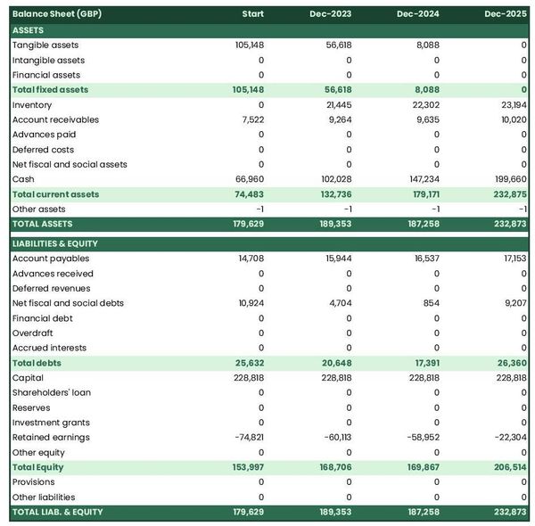 example of forecasted balance sheet in a electrical appliances store business plan