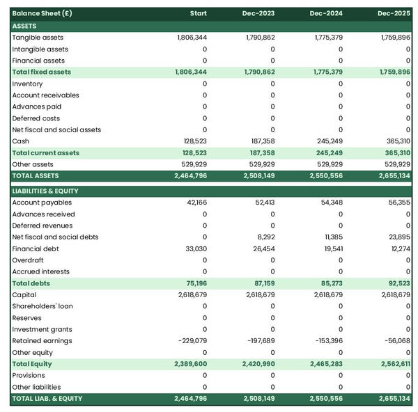 projected balance sheet in a Uber cab business plan example