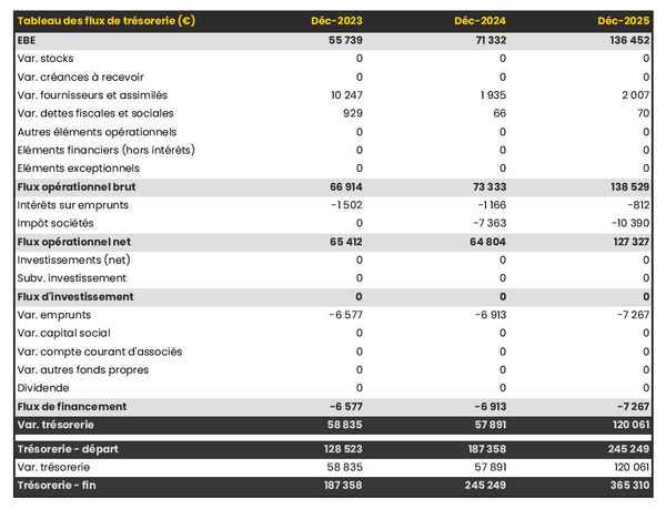 exemple de prévision de trésorerie dans un business plan de entreprise de transport