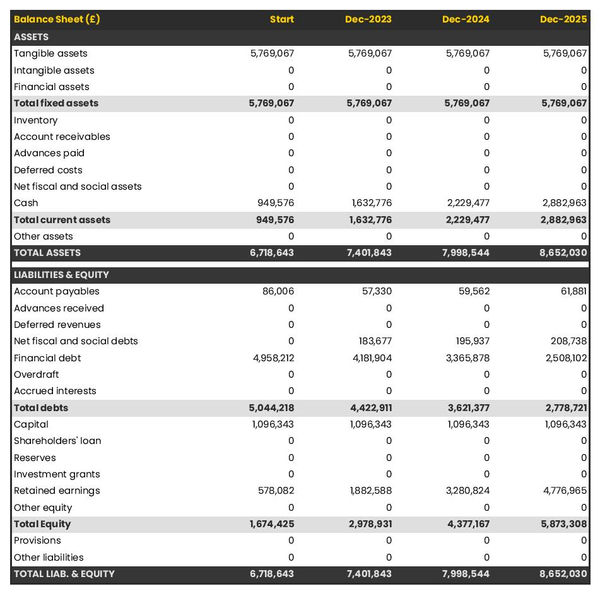example of projected balance sheet in a banquet hall business plan
