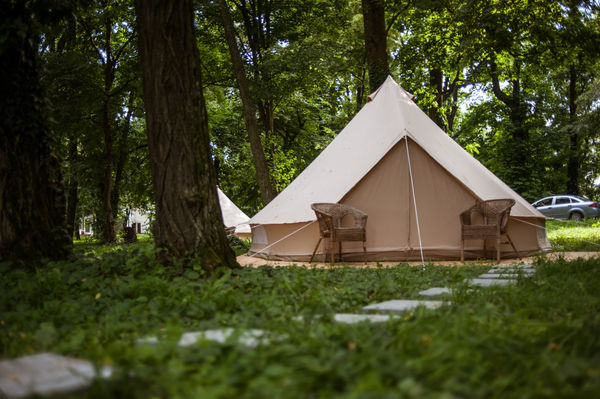 Glamping site business plan: successful entrepreneur