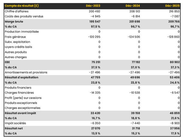 exemple de compte de résultat dans un business plan d'éditeur de fichiers d’adresses