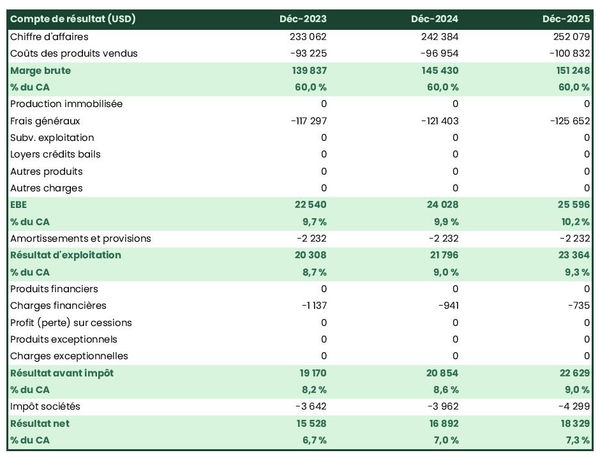business plan de société de location de scooters et motos : exemple de compte de résultat prévisionnel