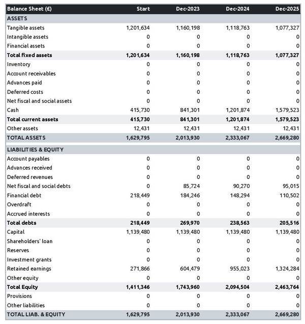 example of projected balance sheet in a closed captioning services company business plan
