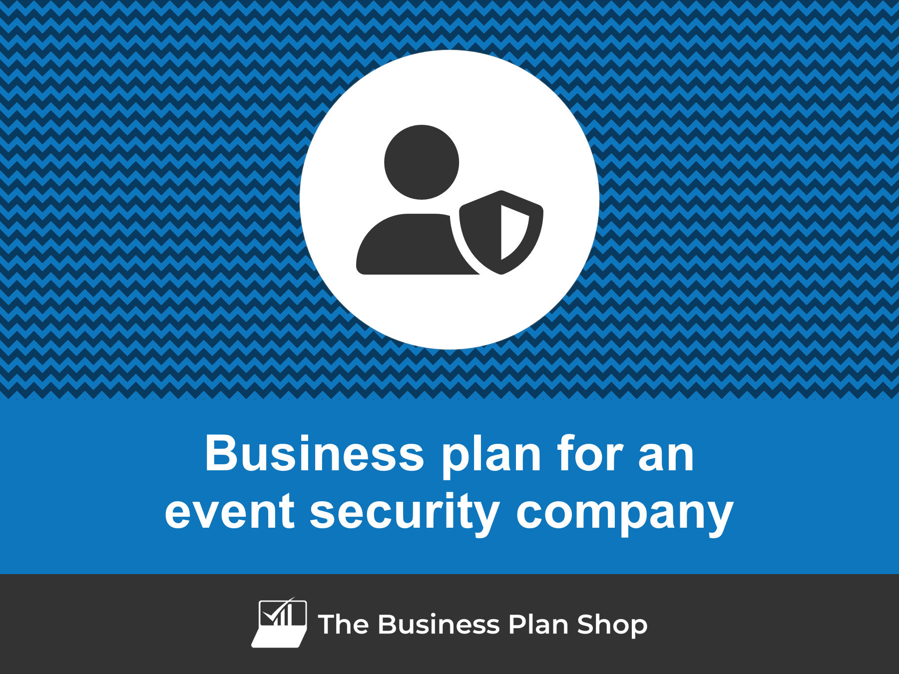 how to write a security company business plan