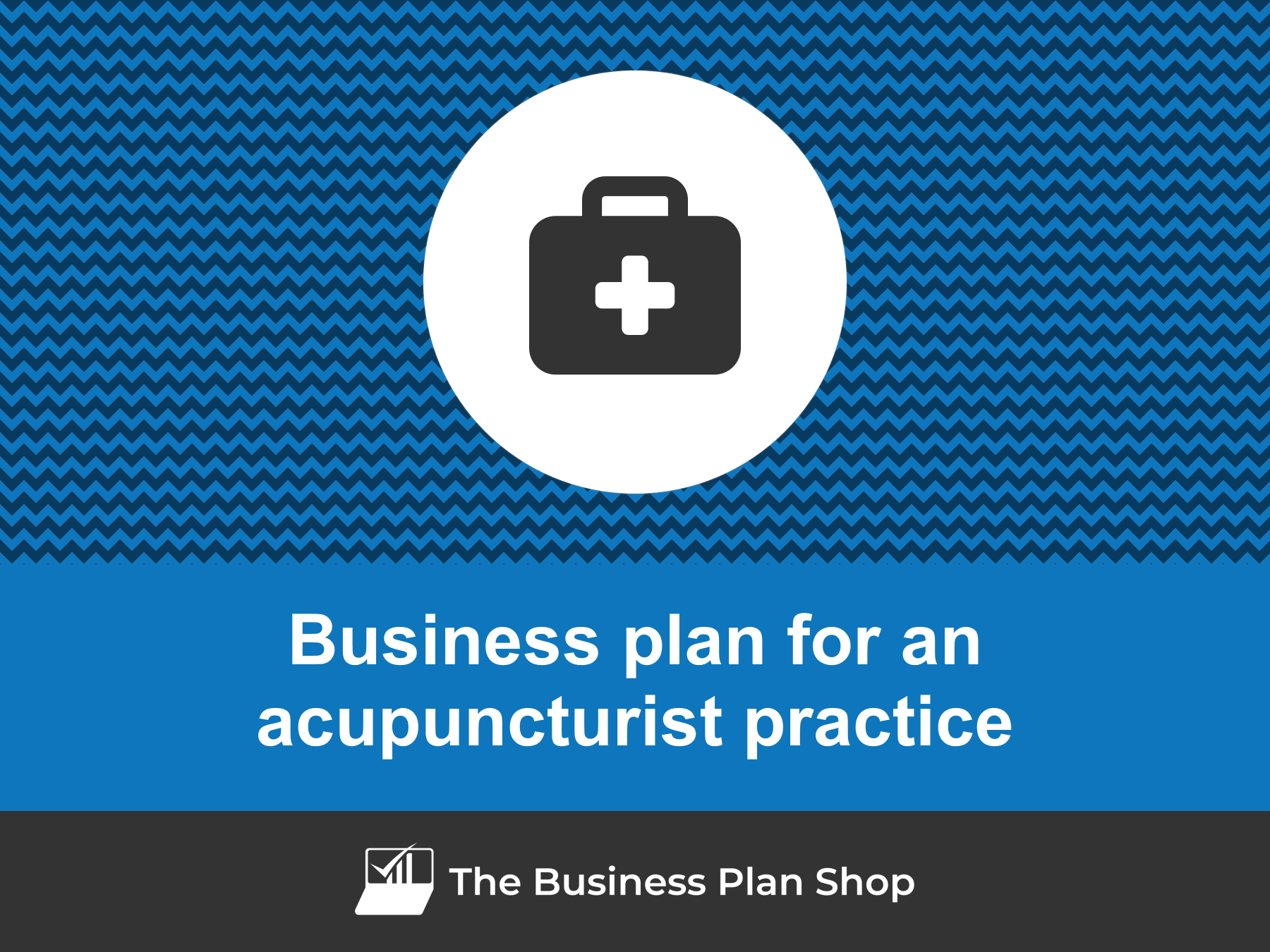 How To Write A Business Plan For An Acupuncturist Practice?