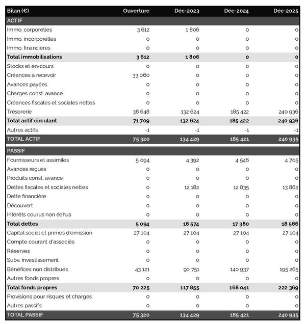 business plan de cabinet d'avocat en fiscalité : exemple de bilan prévisionnel
