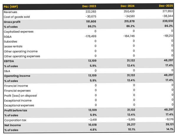 forecasted profit and loss statement in a mechanical engineering consulting firm business plan