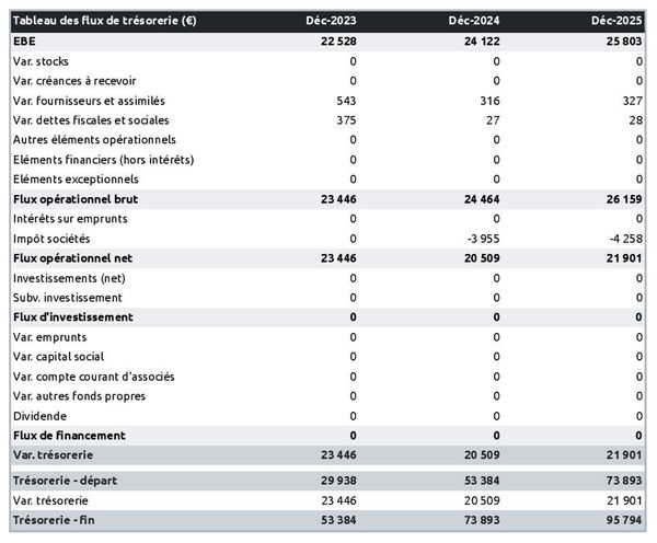prévisionnel de trésorerie dans un business plan de cabinet de guérisseur