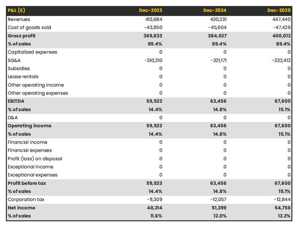 forecasted profit and loss statement in a surveying firm business plan