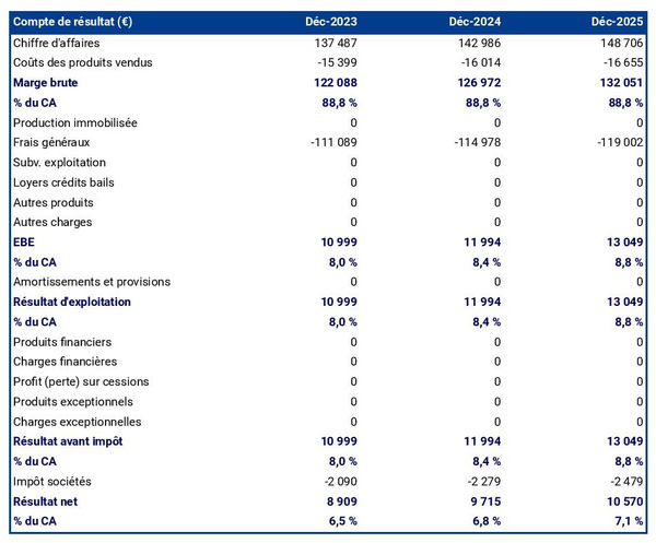 business plan d'entreprise de dactylographie : exemple de compte de résultat prévisionnel