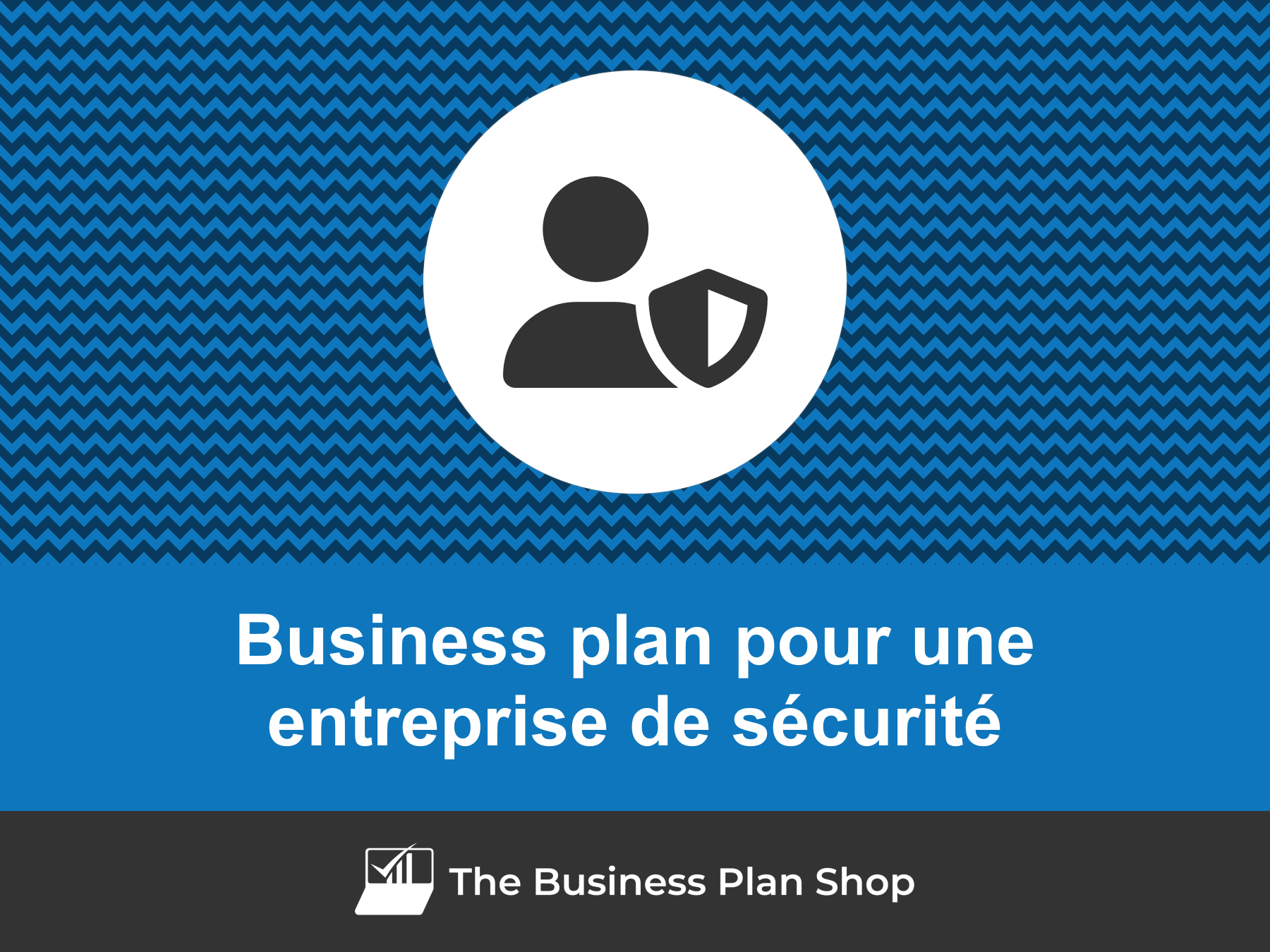 Faire Le Business Plan D'une Entreprise De Sécurité