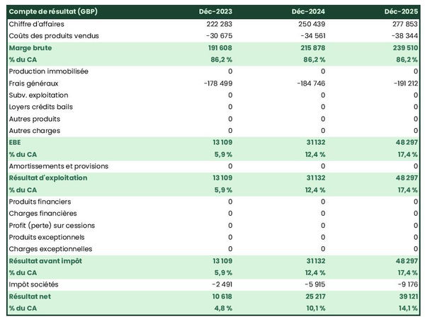 business plan de cabinet d'amélioration des processus : exemple de compte de résultat prévisionnel