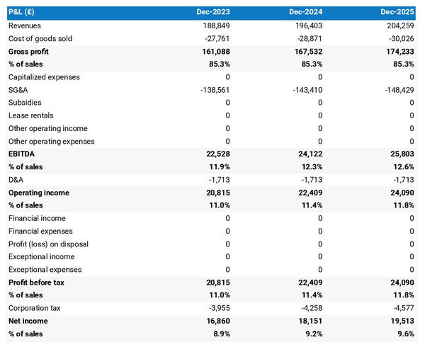 example of projected profit and loss statement in a handyman company business plan