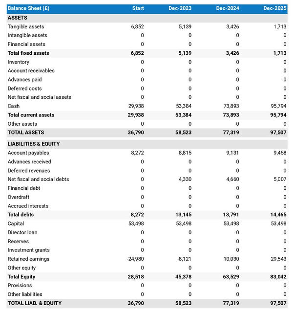 projected balance sheet in a handyman company business plan example