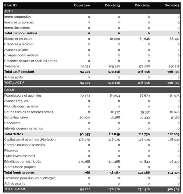 business plan de cabinet de pédiatrie avec exemple de bilan prévisionnel