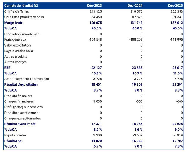 exemple de compte de résultat dans un business plan d'entreprise de location d'instruments de musique